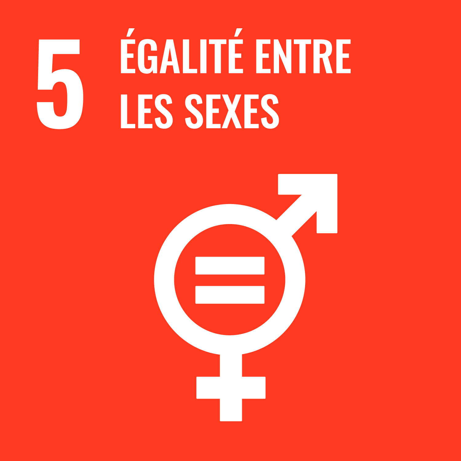 ODD 05 — Égalité entre les sexes