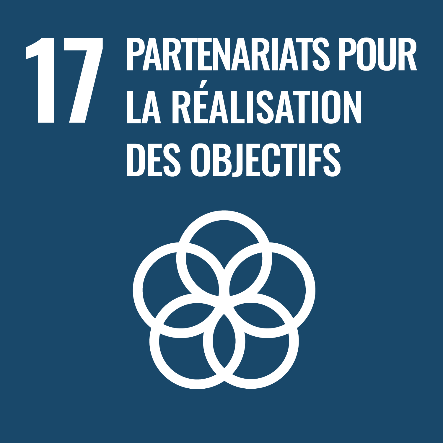 ODD 17 — Partenariats pour les objectifs